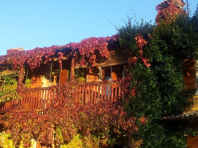 Rozina Vacation House Pliskovica المظهر الخارجي الصورة