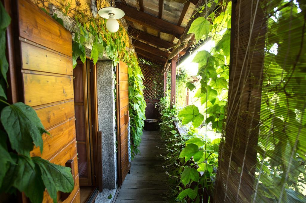 Rozina Vacation House Pliskovica المظهر الخارجي الصورة
